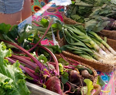 Santa Cruz River Farmers Market Named a Must-Visit